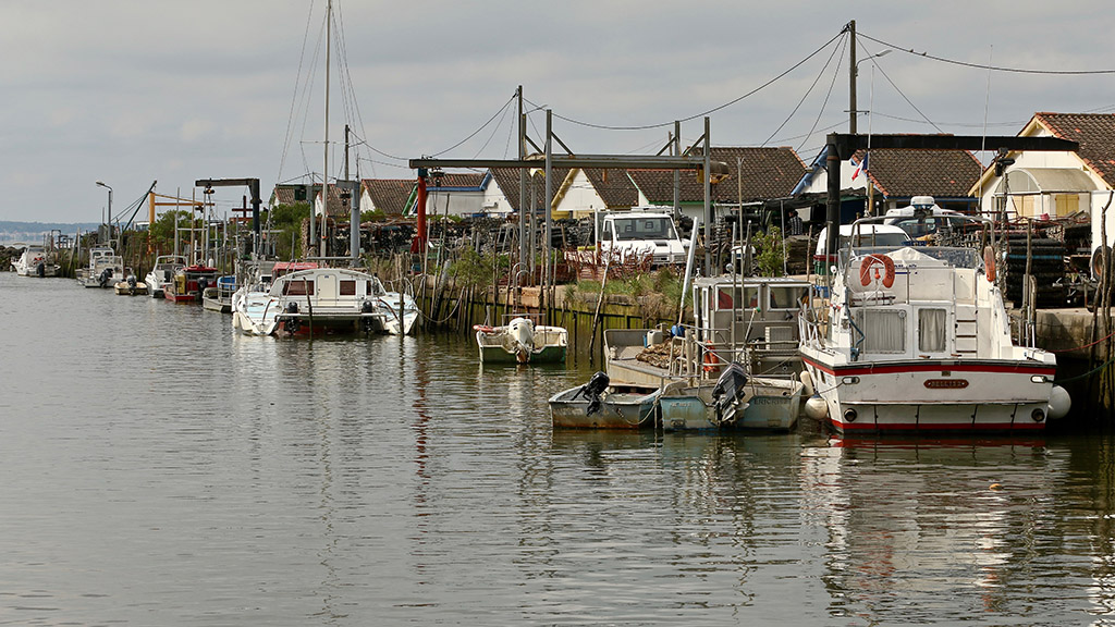 IMG_9351 copie.jpg