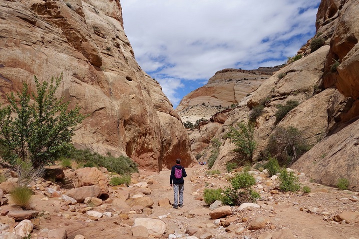 091 Rando Capitol Reef.jpg