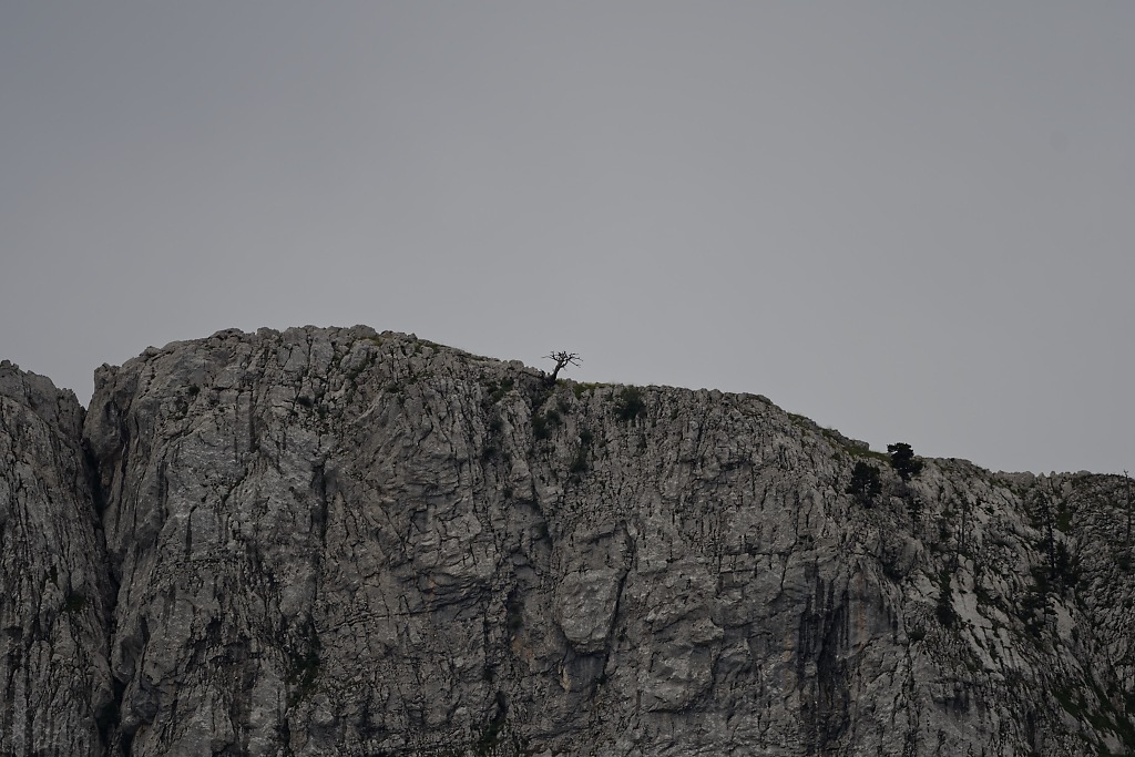 DSC_9944_DxO.jpg