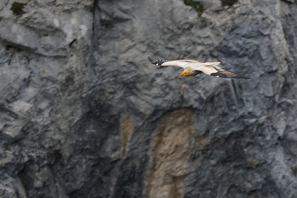 DSC_0034_DxO.jpg
