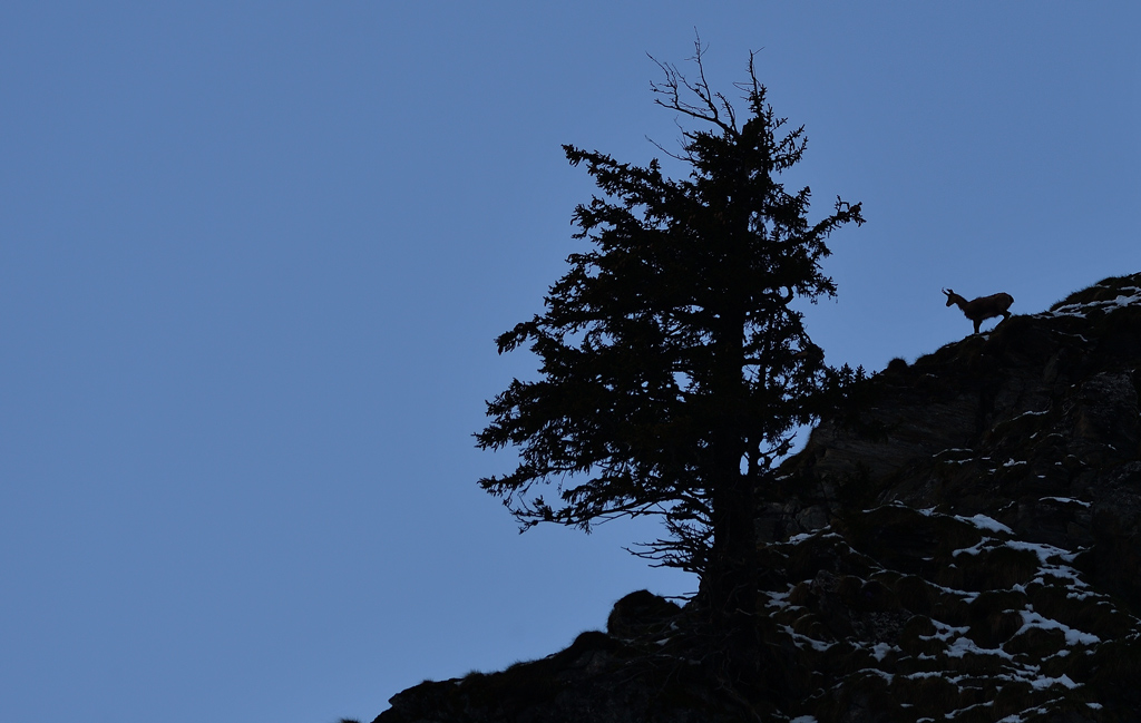 DS5_3252.jpg