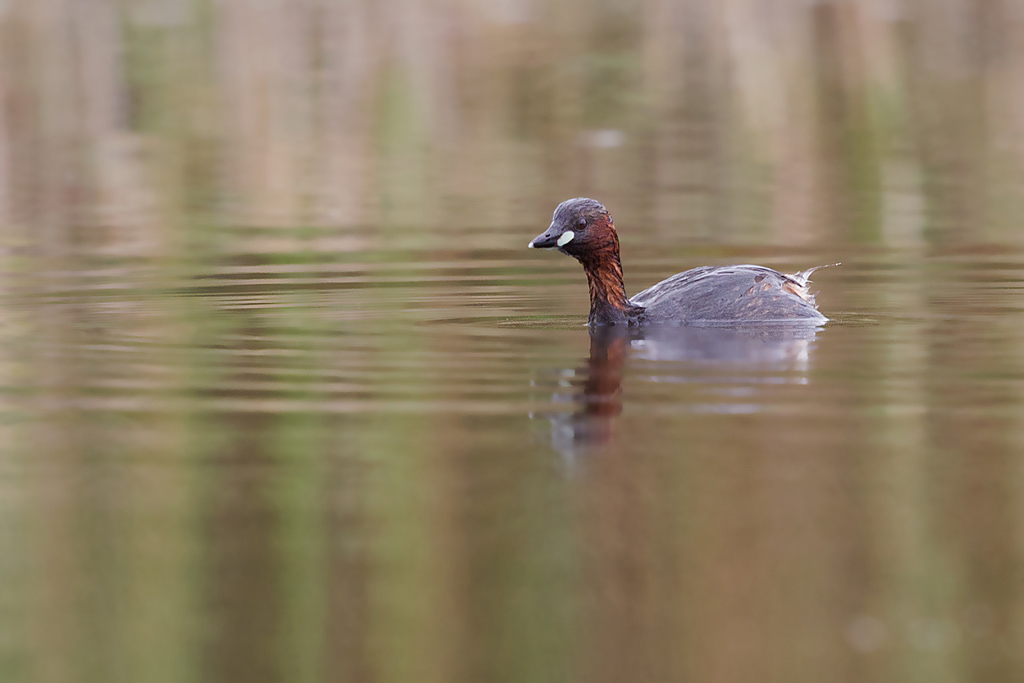 IMG_0122 IN.jpg
