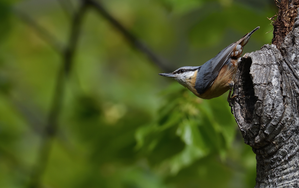 DS5_0614.jpg