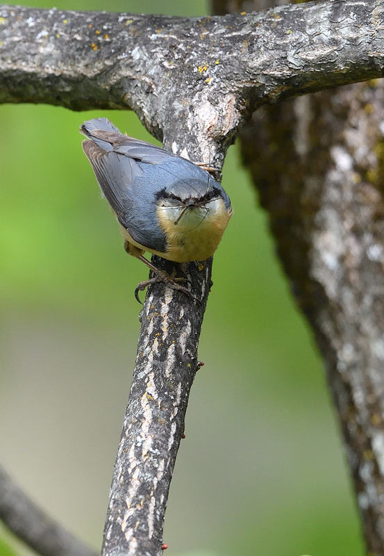 DS5_0618.jpg