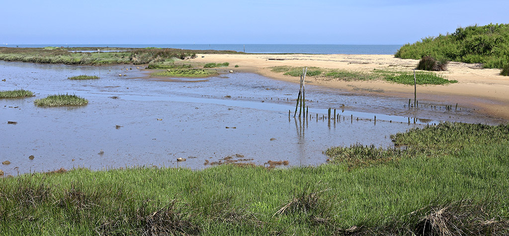 IMG_9529 copie.jpg