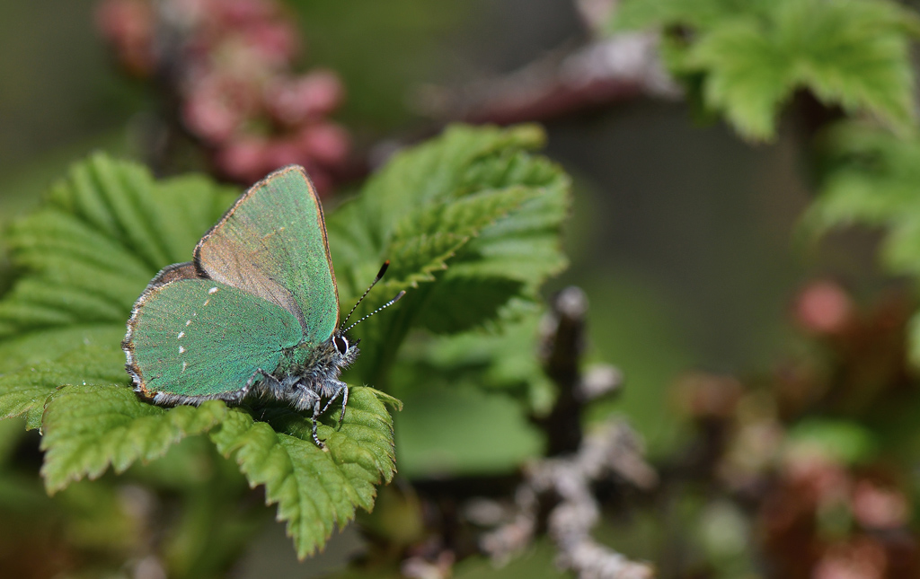 DSC_3128.jpg