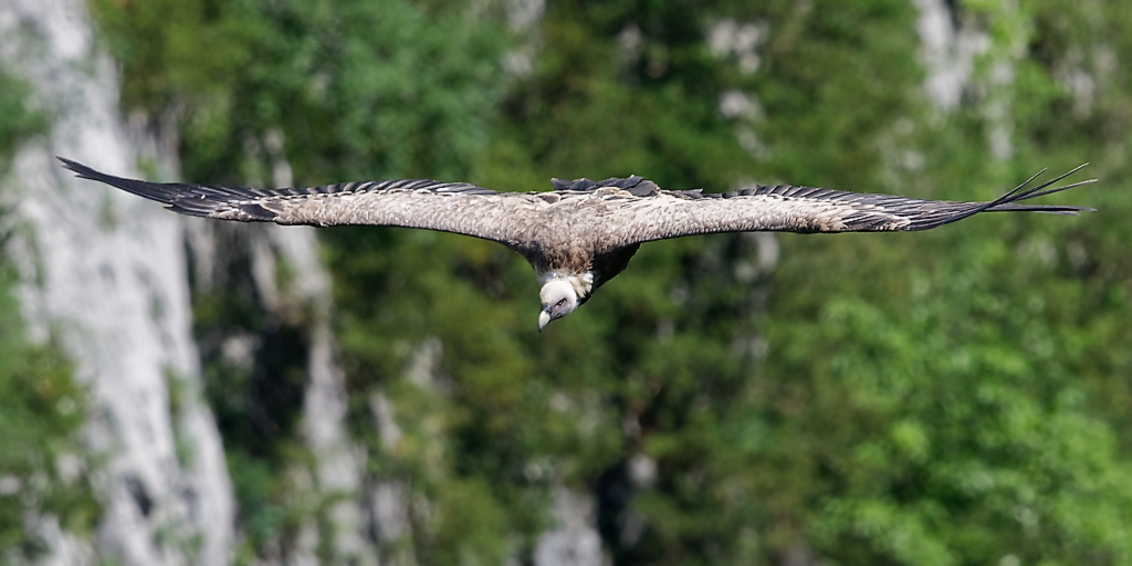 DSC_1287_DxO.jpg