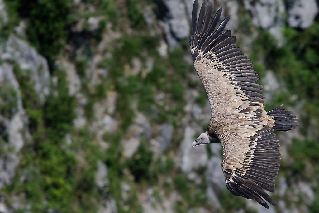 DSC_1290_DxO.jpg