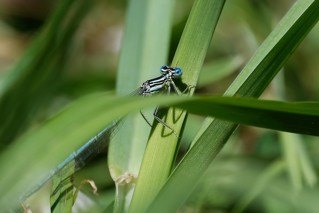 DSC_0760_DxO.jpg