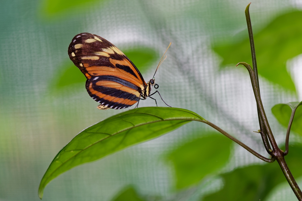 DSC_1716_DxO.JPG