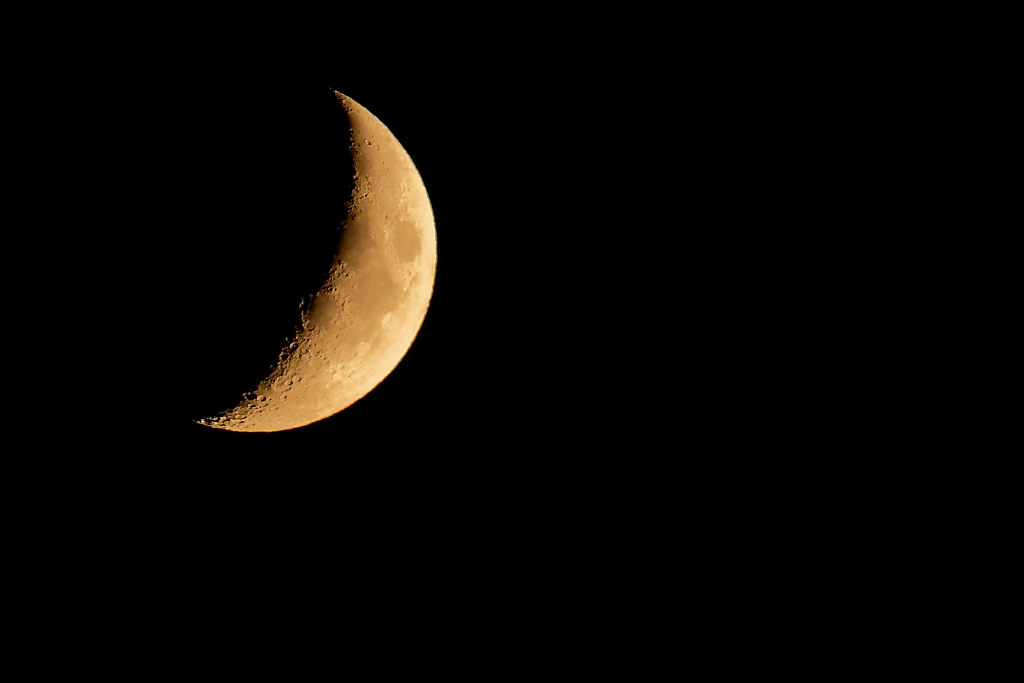 DSC_2779_DxO.jpg