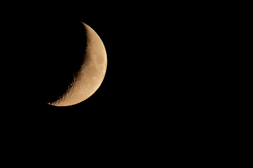 DSC_2780_DxO.jpg