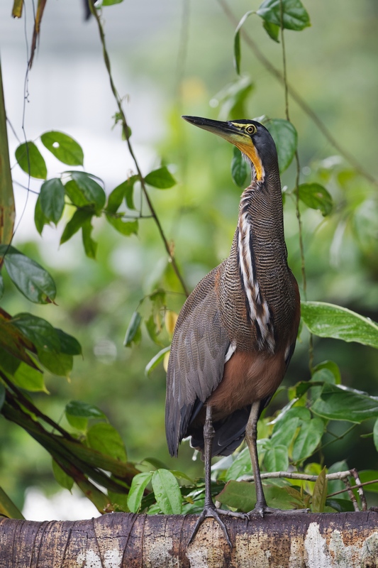 DSC_4834_DxO.JPG