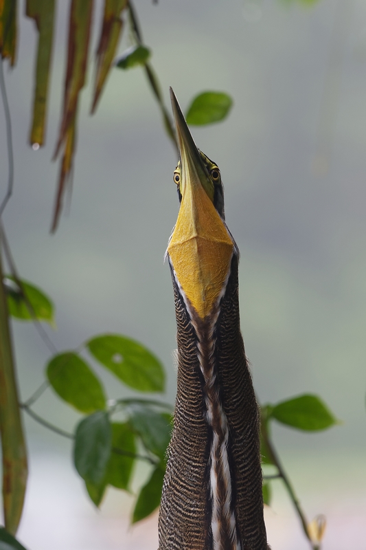 DSC_4839_DxO.JPG