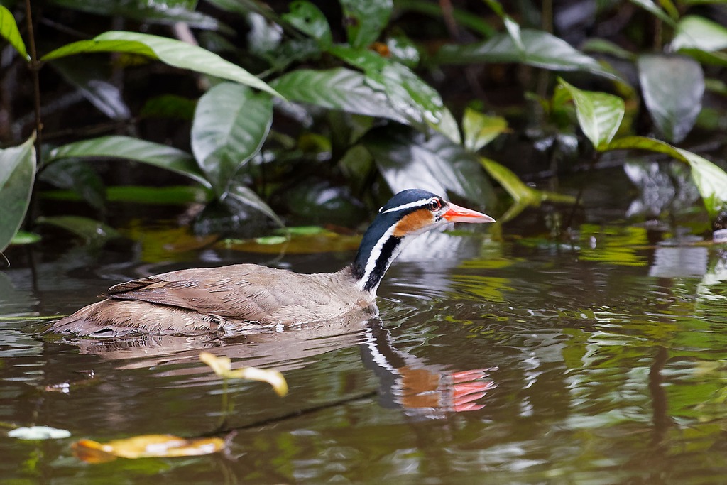 DSC_4956_DxO.JPG