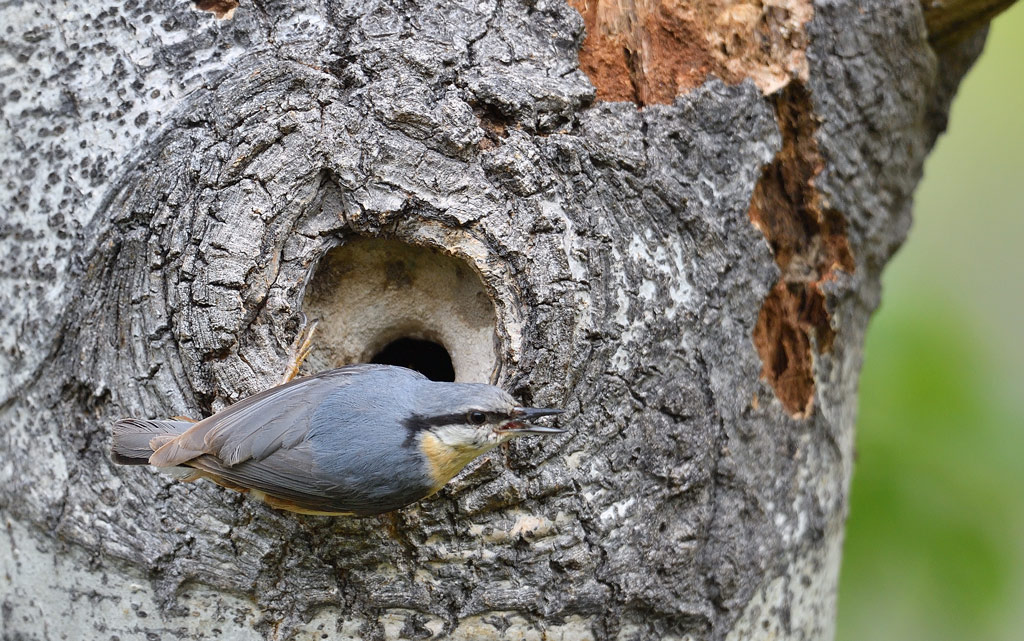 DS5_1712.jpg