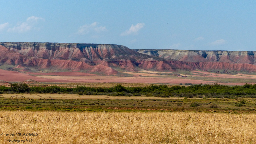 P1130632.jpg