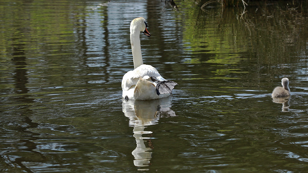 IMG_9602 copie.jpg