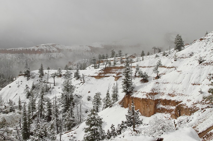 143 Brice Canyon.jpg