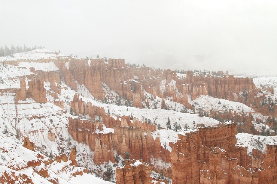 144 Brice Canyon.jpg