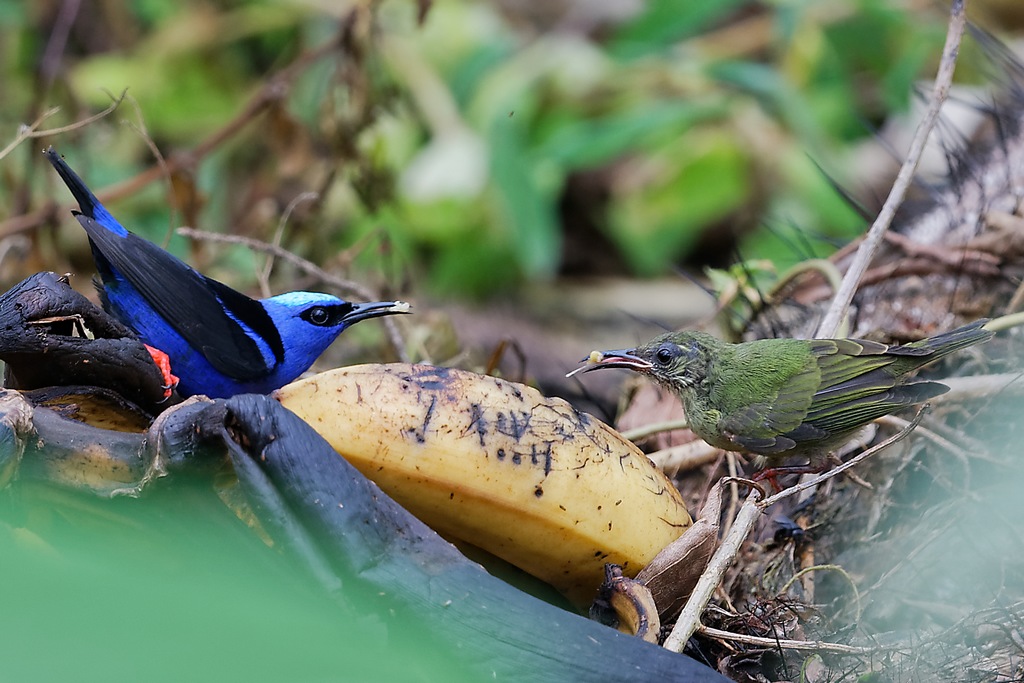 DSC_5204_DxO.JPG