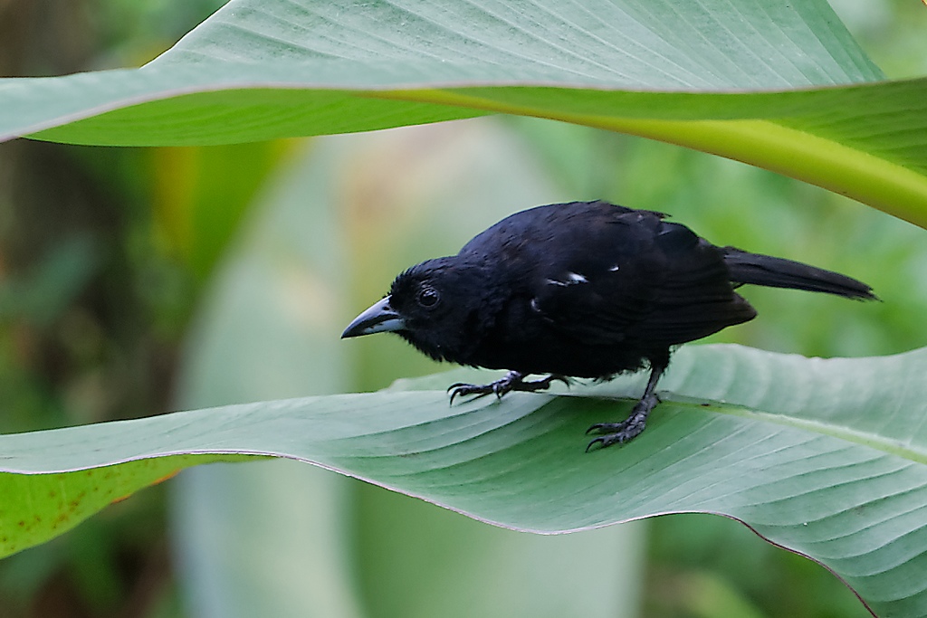 DSC_5264_DxO.JPG