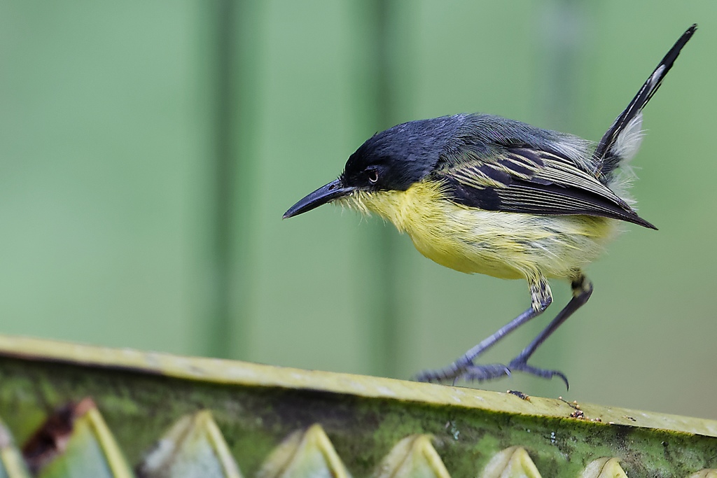 DSC_5317_DxO.JPG