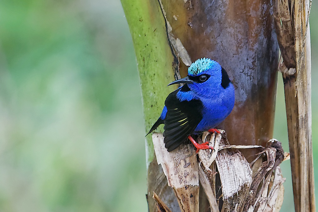 DSC_5332_DxO.JPG