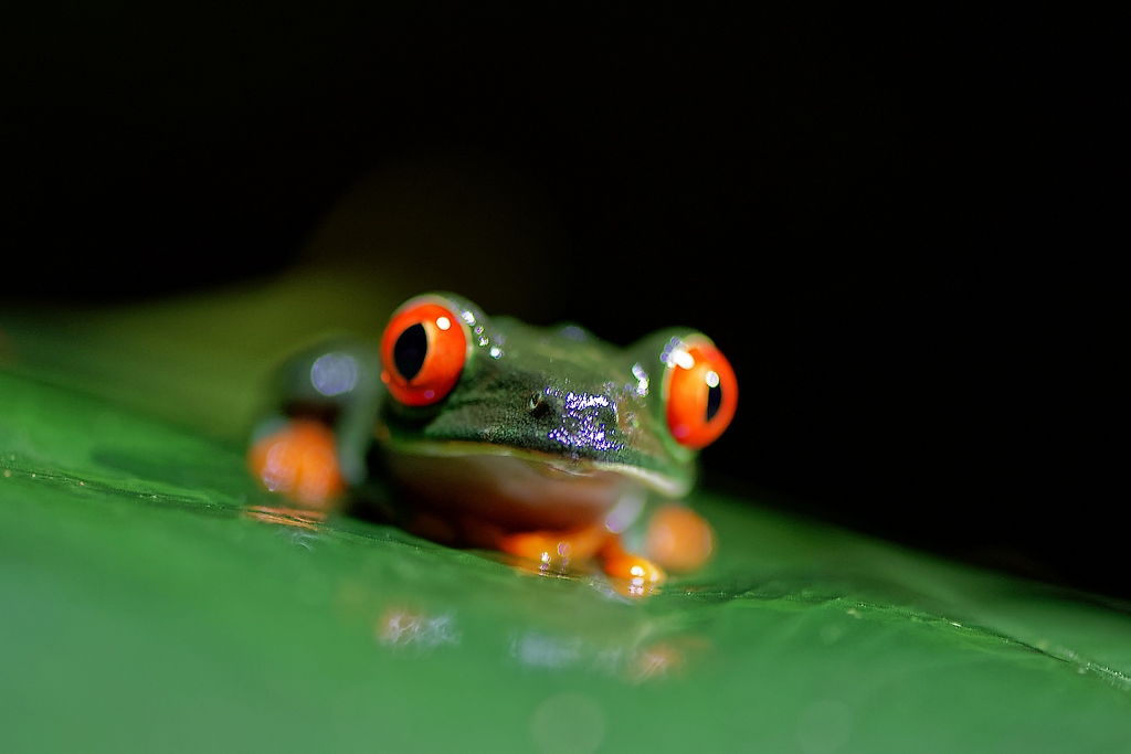 DSC_1791_DxO.JPG