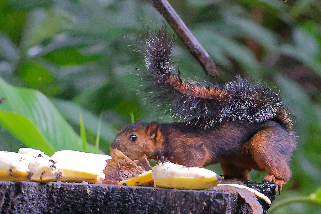 DSC_5365_DxO.JPG