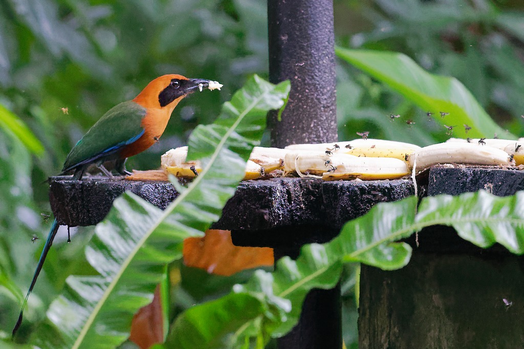 DSC_5371_DxO.JPG
