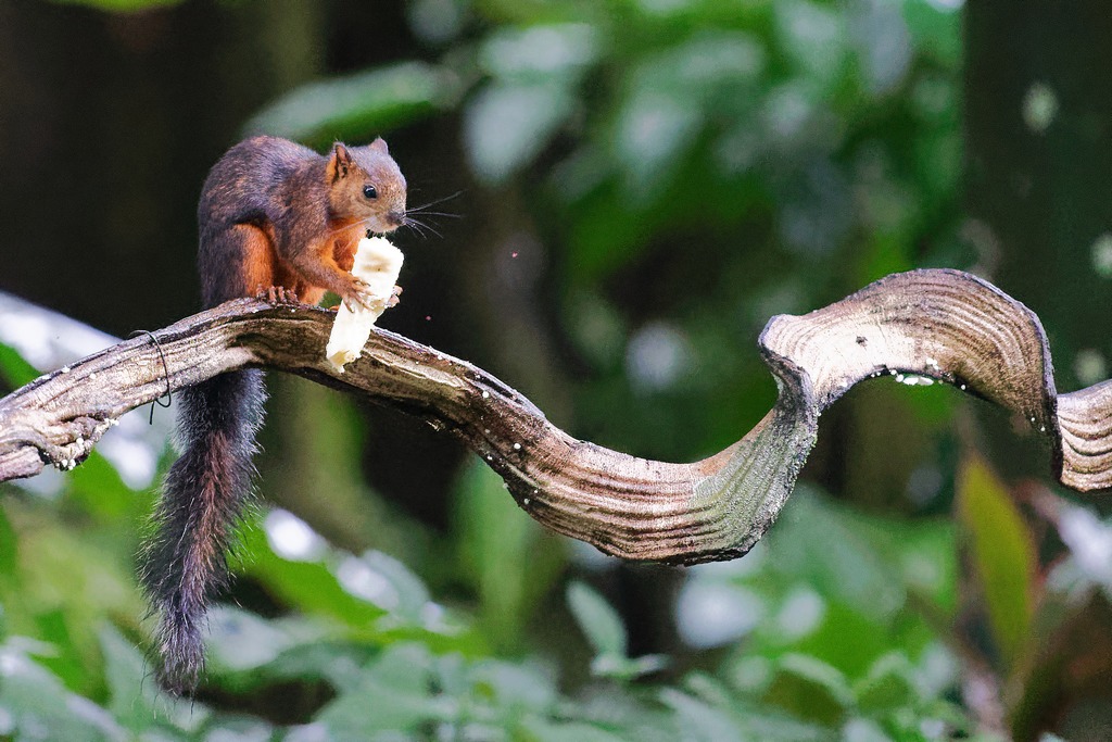 DSC_5377_DxO.JPG