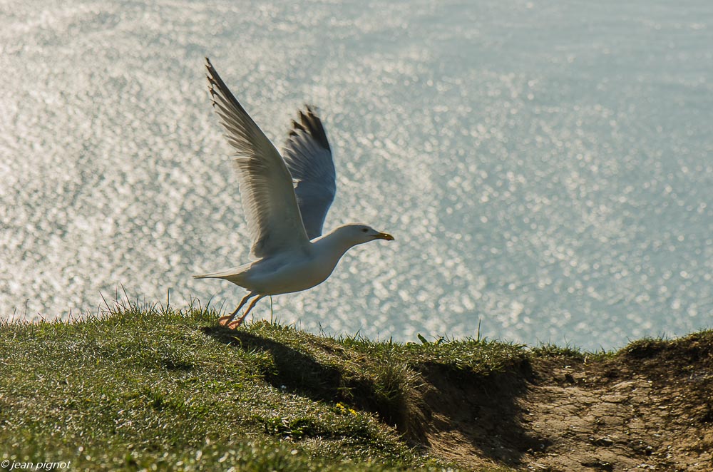 etretat 04 2019-8.JPG