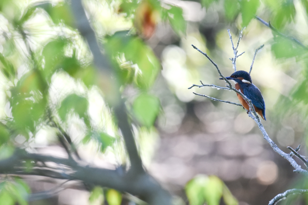 DSC_5075.jpg