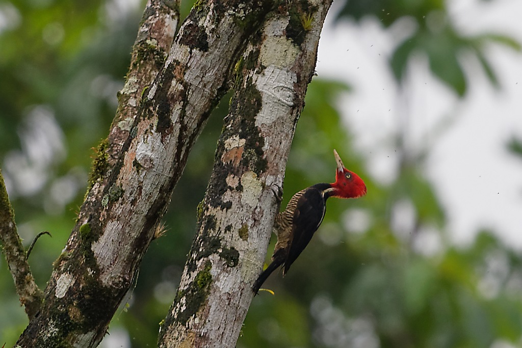 DSC_5466_DxO-1.JPG