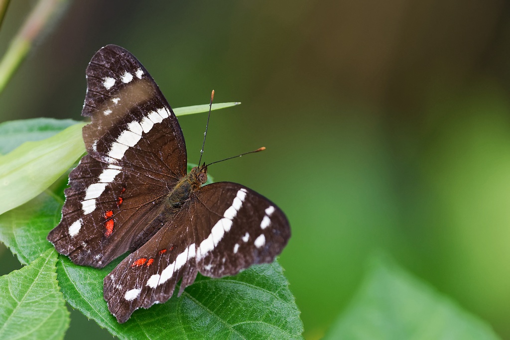 DSC_5479_DxO.JPG