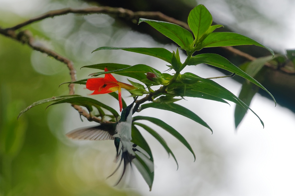 DSC_5509_DxO.jpg