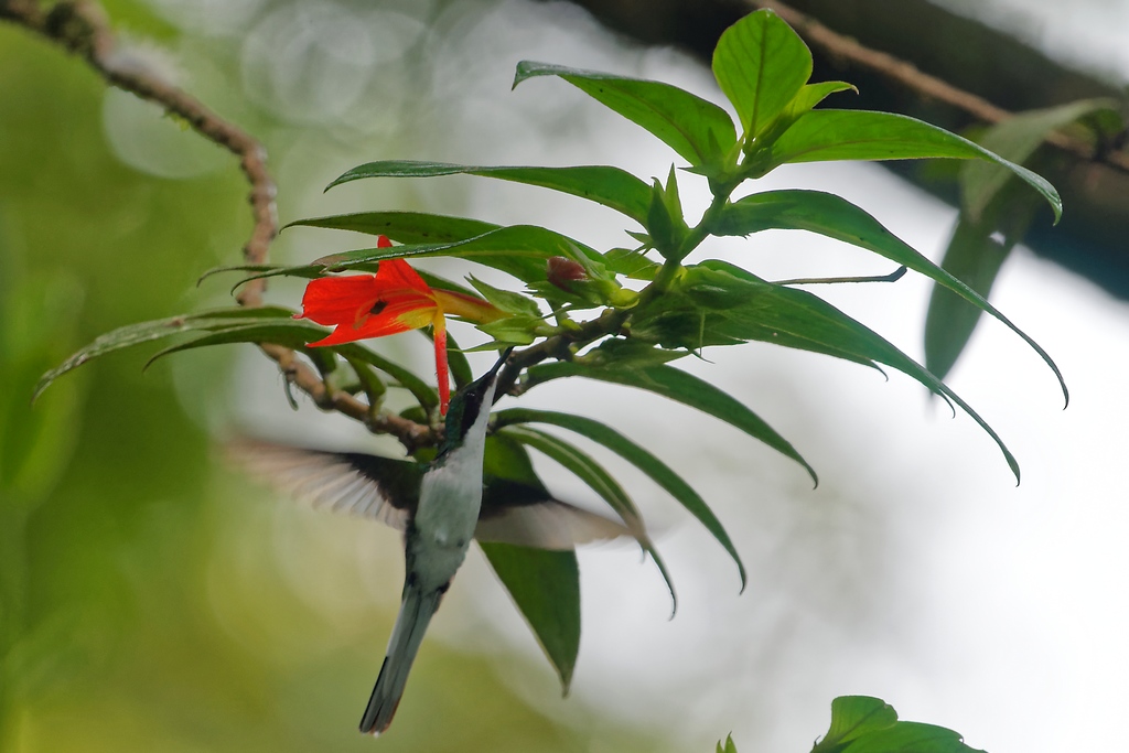 DSC_5510_DxO.JPG