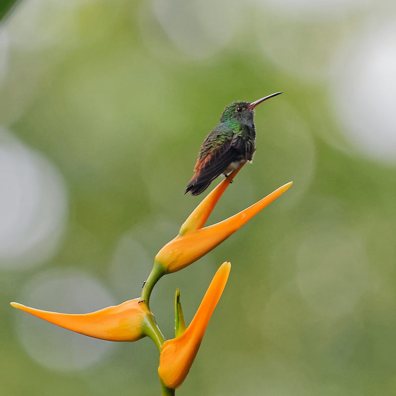 DSC_5511_DxO.JPG