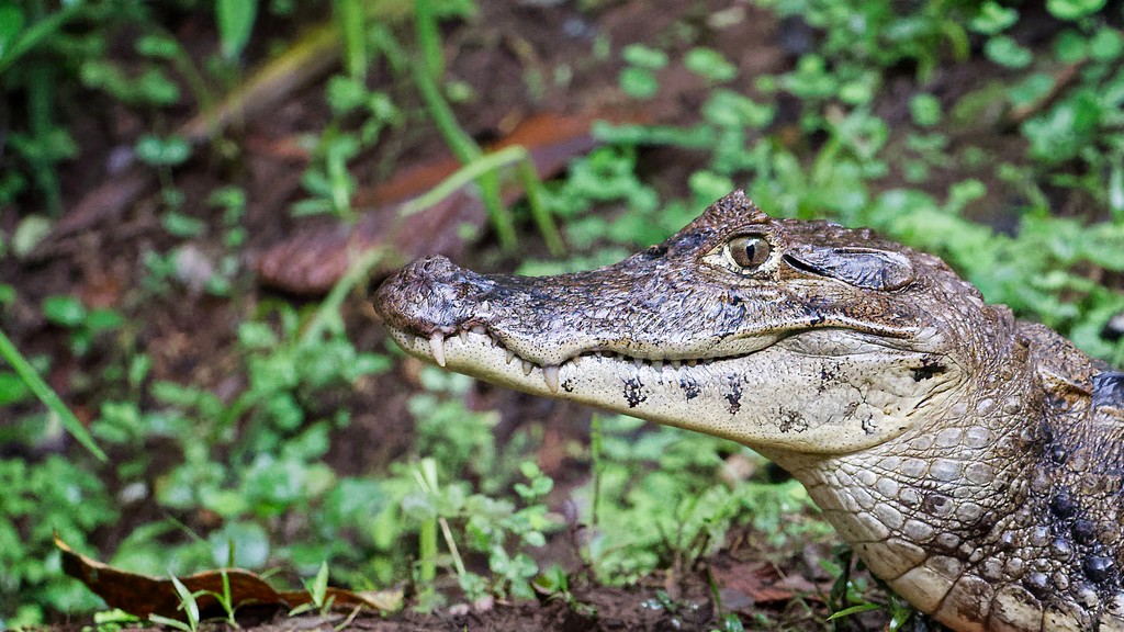 DSC_5549_DxO.JPG