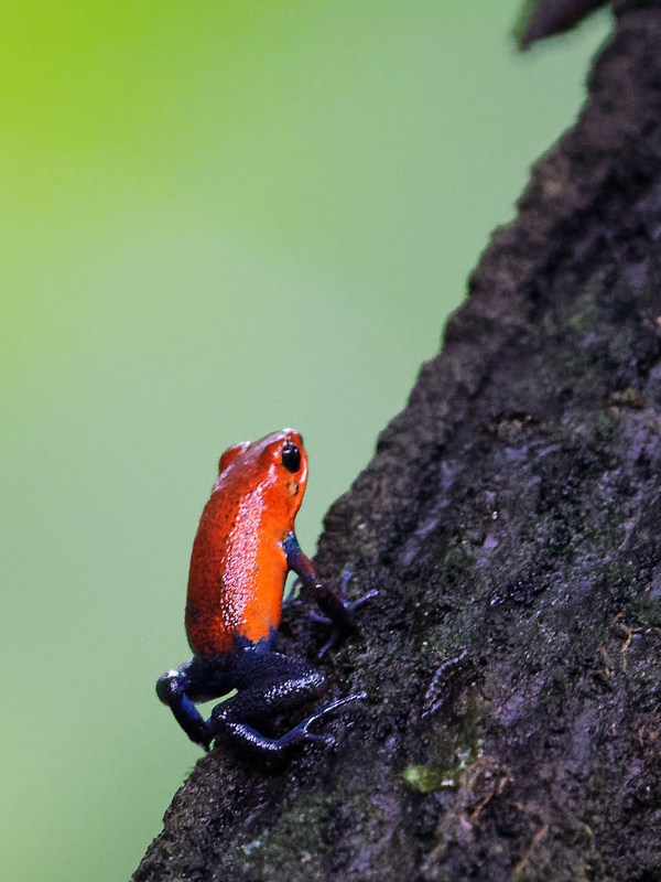 DSC_5556_DxO.JPG
