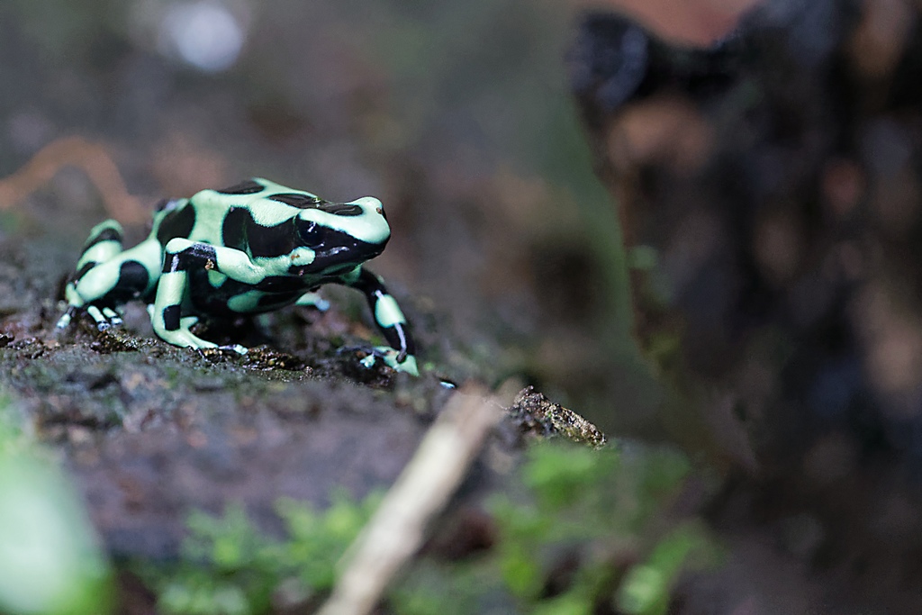 DSC_5571_DxO.JPG