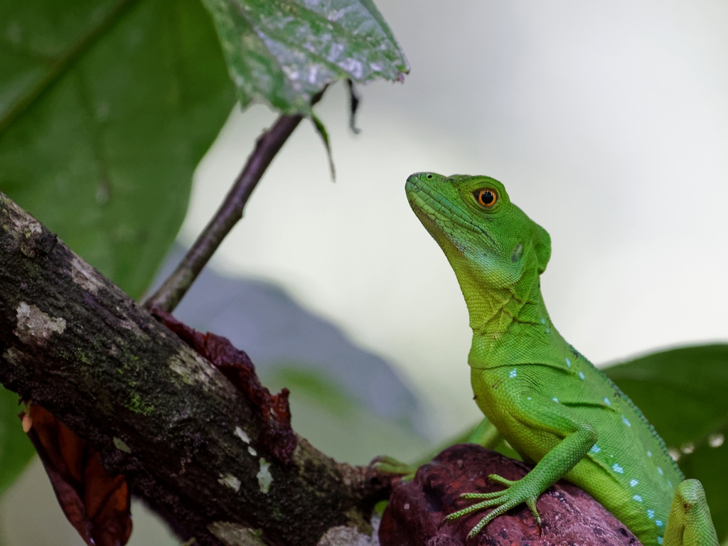 DSC_5565_DxO.JPG