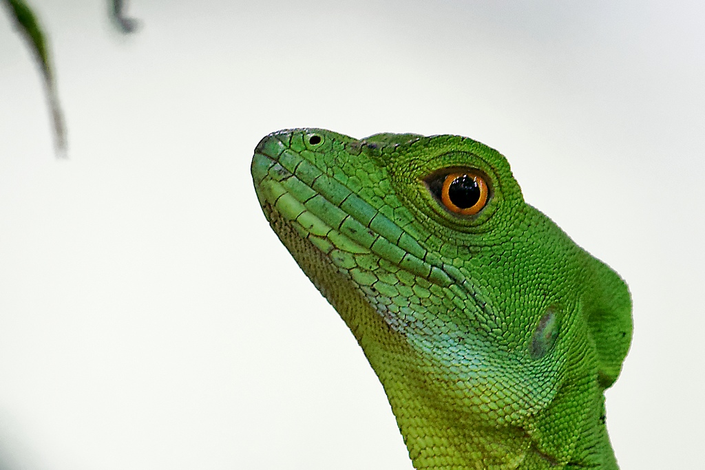 DSC_5566_DxO.JPG