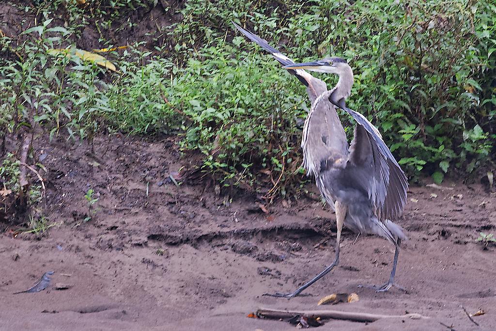 DSC_5609_DxO.JPG