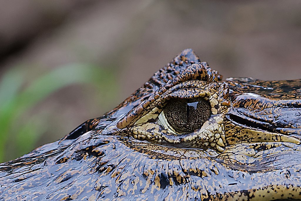 DSC_5639_DxO-1.JPG