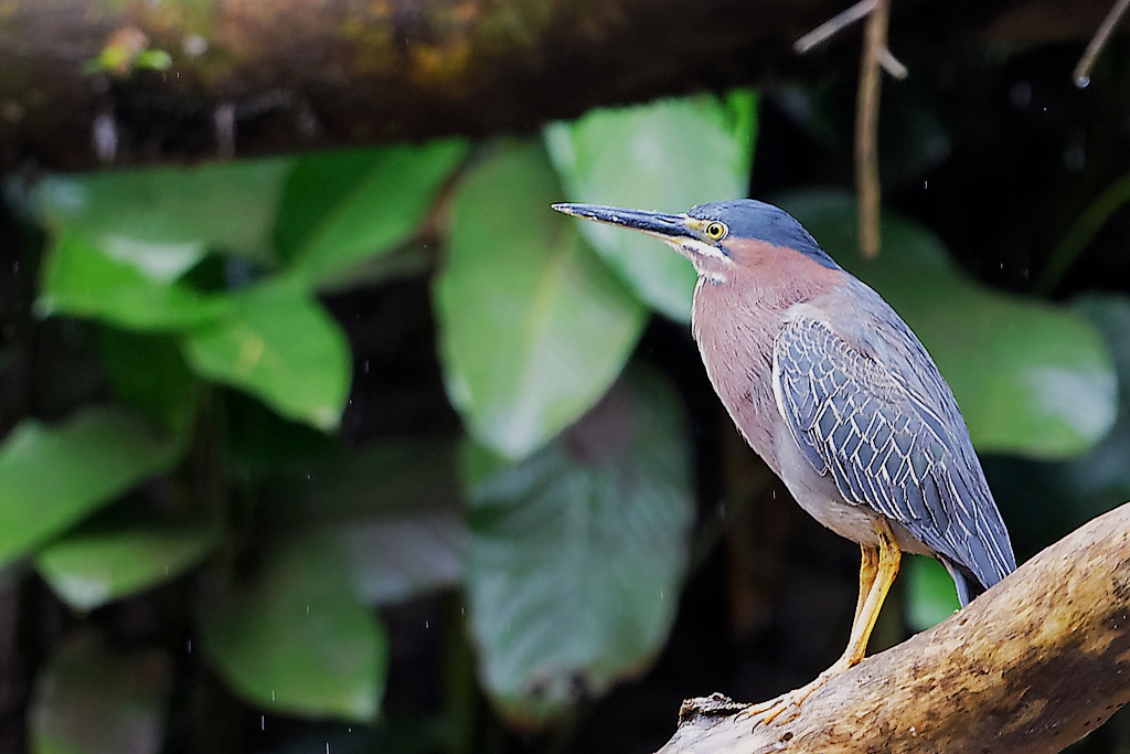 DSC_5648_DxO.JPG