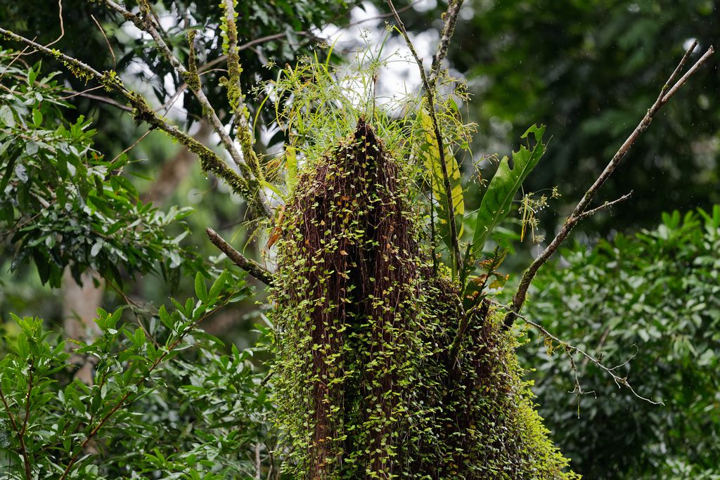 DSC_5661_DxO.JPG
