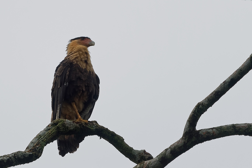DSC_5680_DxO.JPG