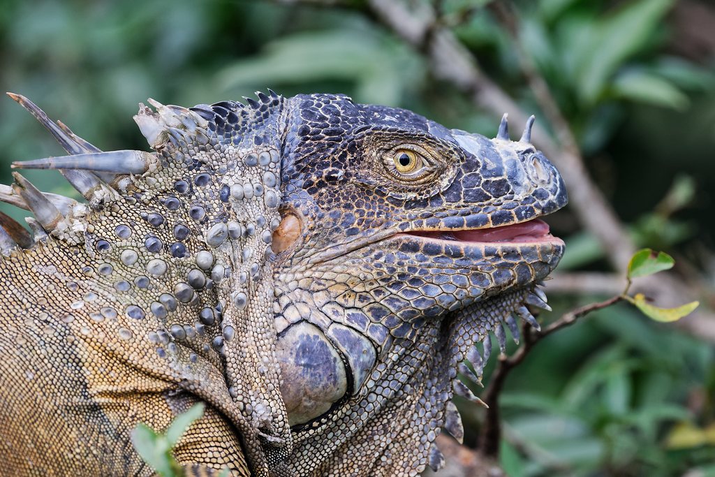 DSC_5691_DxO.JPG